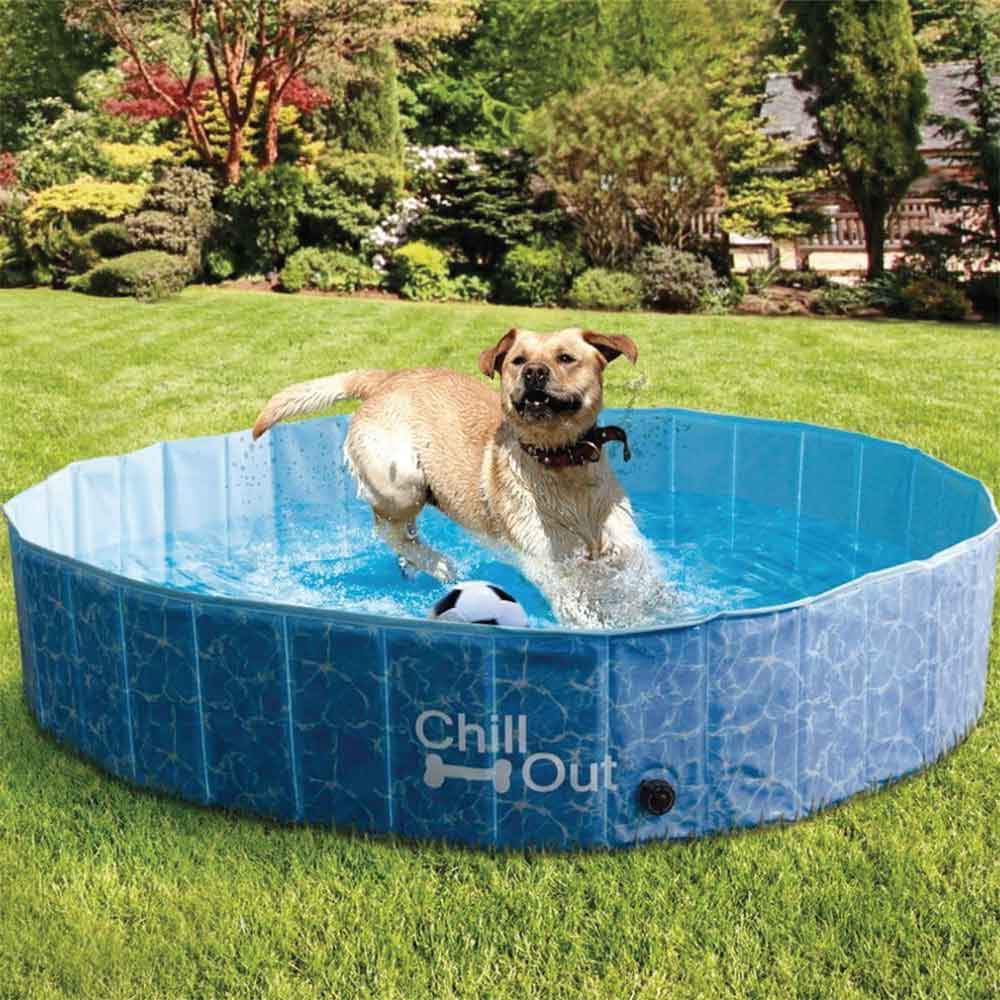 S Dog - Chill Out Plastic Pet Puppy Splash Fun All For Paws